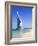 The Iconic Burj Al Arab Hotel, Jumeirah, Dubai, United Arab Emirates, Middle East-Amanda Hall-Framed Photographic Print