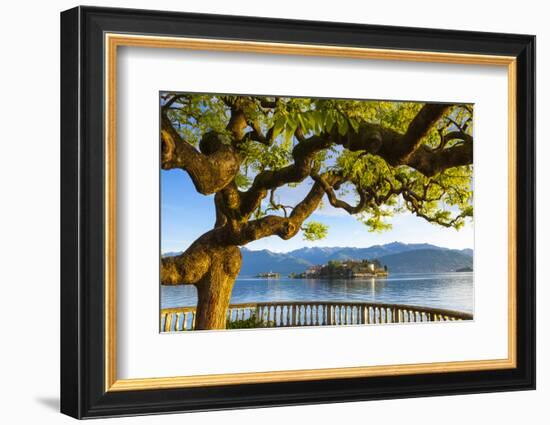 The Idyllic Isola Dei Pescatori and Isola Bella, Borromean Islands, Lake Maggiore, Piedmont, Italy-Doug Pearson-Framed Photographic Print