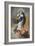 The Immaculate Conception, C.1680 (Oil on Canvas)-Bartolome Esteban Murillo-Framed Giclee Print