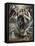 The Immaculate Conception, Ca. 1608-1614-El Greco-Framed Premier Image Canvas