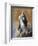 The Immaculate Conception-Bartolome Esteban Murillo-Framed Giclee Print