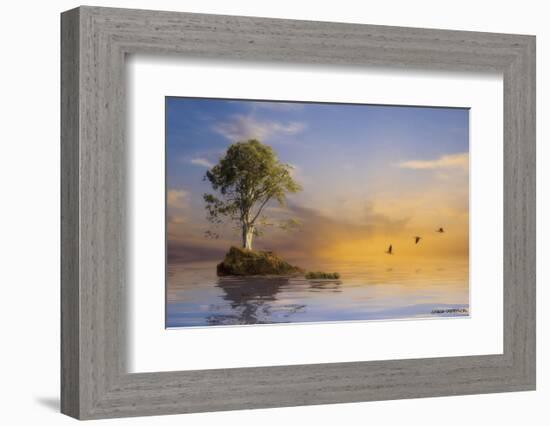 The Immortal Tree-Carlos Casamayor-Framed Art Print