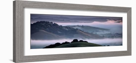 The Incredible Hills of Petaluma in the Morning Fog Country Northewrn California-Vincent James-Framed Photographic Print