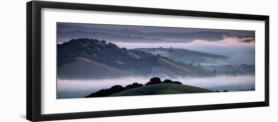 The Incredible Hills of Petaluma in the Morning Fog Country Northewrn California-Vincent James-Framed Photographic Print