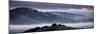 The Incredible Hills of Petaluma in the Morning Fog Country Northewrn California-Vincent James-Mounted Photographic Print