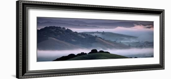 The Incredible Hills of Petaluma in the Morning Fog Country Northewrn California-Vincent James-Framed Photographic Print