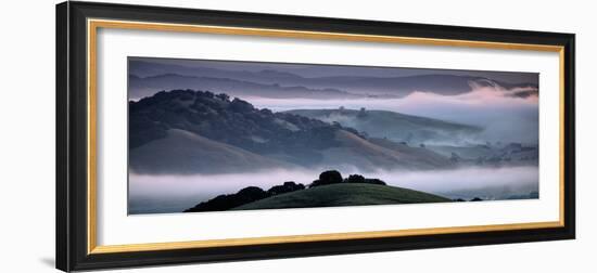 The Incredible Hills of Petaluma in the Morning Fog Country Northewrn California-Vincent James-Framed Photographic Print