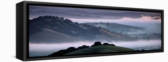 The Incredible Hills of Petaluma in the Morning Fog Country Northewrn California-Vincent James-Framed Stretched Canvas