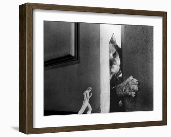 The Incredible Shrinking Man, Grant Williams, 1957-null-Framed Photo