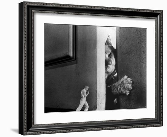 The Incredible Shrinking Man, Grant Williams, 1957-null-Framed Photo