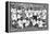 The Indian Hockey Team, Gold Medal Winners, Berlin Olympics, 1936-null-Framed Premier Image Canvas