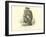 The Indian of Alarcon, an Earthenware Vessel of the Period of the Incas-Édouard Riou-Framed Giclee Print