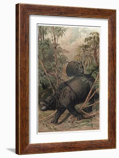 The Indian Rhinoceros by Alfred Edmund Brehm-Stefano Bianchetti-Framed Giclee Print