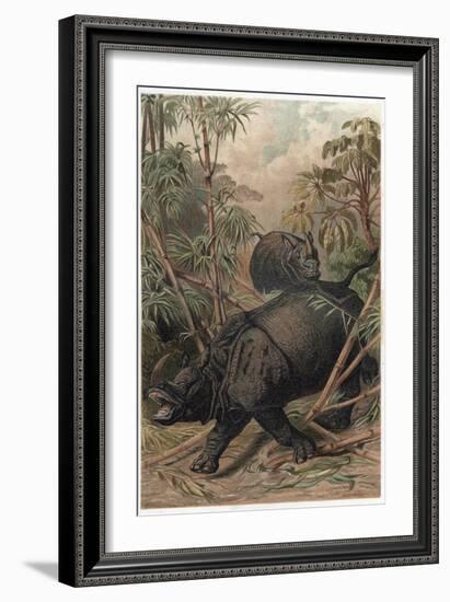 The Indian Rhinoceros by Alfred Edmund Brehm-Stefano Bianchetti-Framed Giclee Print