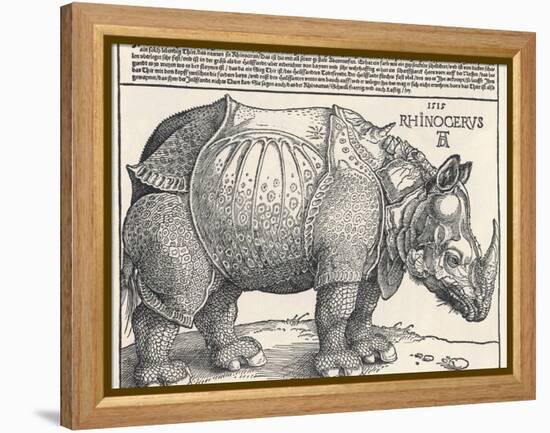 The Indian Rhinoceros is the Largest of the Asian Spiecies-Albrecht Dürer-Framed Premier Image Canvas