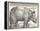 The Indian Rhinoceros is the Largest of the Asian Spiecies-Albrecht Dürer-Framed Premier Image Canvas