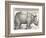 The Indian Rhinoceros is the Largest of the Asian Spiecies-Albrecht Dürer-Framed Photographic Print