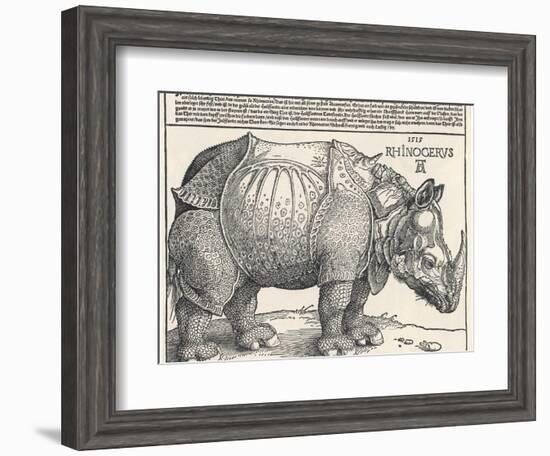 The Indian Rhinoceros is the Largest of the Asian Spiecies-Albrecht Dürer-Framed Photographic Print