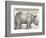 The Indian Rhinoceros is the Largest of the Asian Spiecies-Albrecht Dürer-Framed Photographic Print