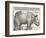 The Indian Rhinoceros is the Largest of the Asian Spiecies-Albrecht Dürer-Framed Photographic Print