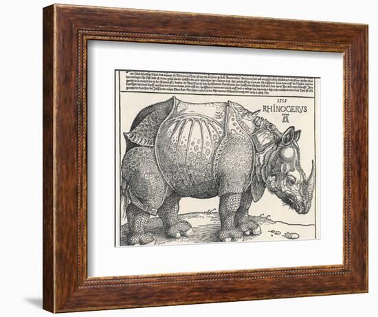 The Indian Rhinoceros is the Largest of the Asian Spiecies-Albrecht Dürer-Framed Photographic Print