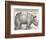 The Indian Rhinoceros is the Largest of the Asian Spiecies-Albrecht Dürer-Framed Photographic Print