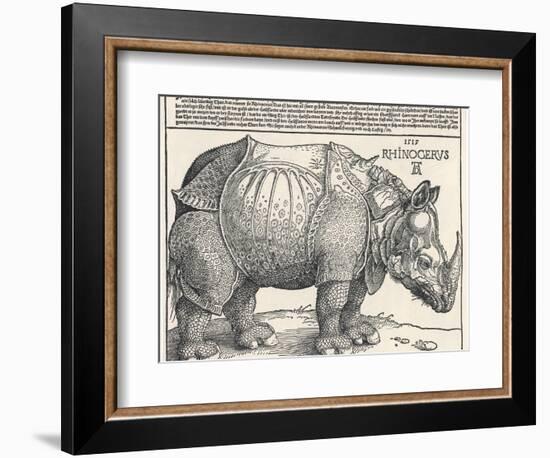 The Indian Rhinoceros is the Largest of the Asian Spiecies-Albrecht Dürer-Framed Photographic Print