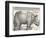 The Indian Rhinoceros is the Largest of the Asian Spiecies-Albrecht Dürer-Framed Photographic Print