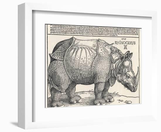 The Indian Rhinoceros is the Largest of the Asian Spiecies-Albrecht Dürer-Framed Photographic Print