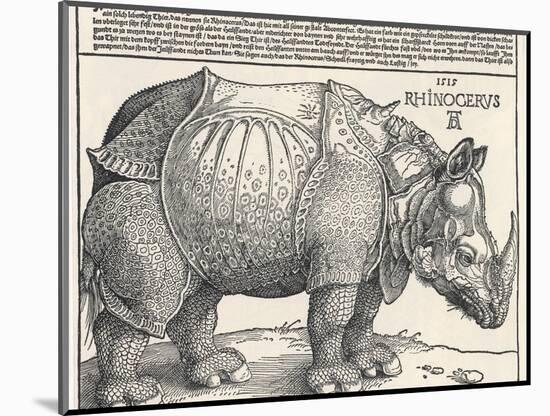 The Indian Rhinoceros is the Largest of the Asian Spiecies-Albrecht Dürer-Mounted Photographic Print