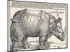 The Indian Rhinoceros is the Largest of the Asian Spiecies-Albrecht Dürer-Mounted Photographic Print