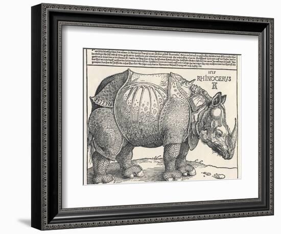 The Indian Rhinoceros is the Largest of the Asian Spiecies-Albrecht Dürer-Framed Photographic Print