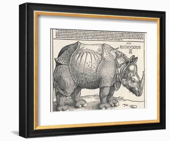 The Indian Rhinoceros is the Largest of the Asian Spiecies-Albrecht Dürer-Framed Photographic Print