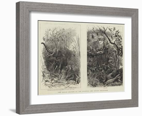 The Indian Section of the Colonial and Indian Exhibition-null-Framed Giclee Print