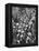 The Indian Sikh Troops from Punjab, Boarding the Troop Transport in the Penang Harbor-Carl Mydans-Framed Premier Image Canvas