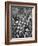 The Indian Sikh Troops from Punjab, Boarding the Troop Transport in the Penang Harbor-Carl Mydans-Framed Photographic Print