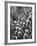 The Indian Sikh Troops from Punjab, Boarding the Troop Transport in the Penang Harbor-Carl Mydans-Framed Photographic Print