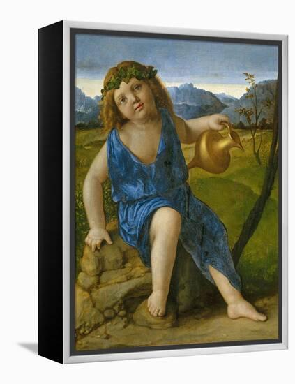 The Infant Bacchus, C.1505-10-Giovanni Bellini-Framed Premier Image Canvas