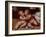 The Infant Christ with the Infant St John the Baptist-Quentin Massys or Metsys-Framed Giclee Print