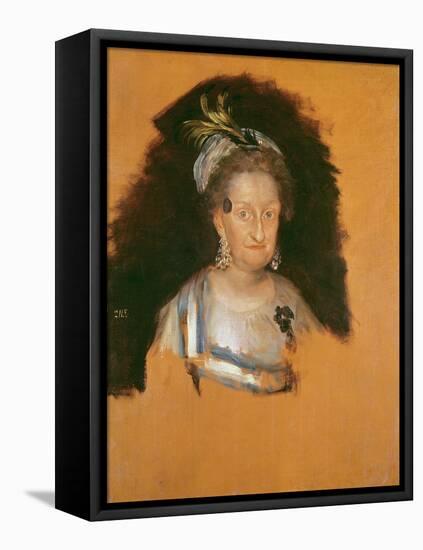 The Infanta Marie Josepha (Study for the Family of Charles Iv), before 1800 (Oil on Canvas)-Francisco Jose de Goya y Lucientes-Framed Premier Image Canvas