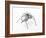 The Insect, 1996-Lawrie Simonson-Framed Giclee Print