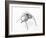 The Insect, 1996-Lawrie Simonson-Framed Giclee Print