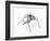 The Insect, 1996-Lawrie Simonson-Framed Giclee Print