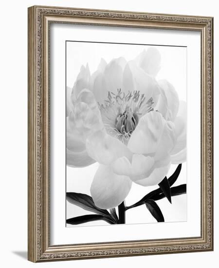 The Inside Of Self, 2007-Hiroyuki Arakawa-Framed Photographic Print