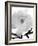 The Inside Of Self, 2007-Hiroyuki Arakawa-Framed Photographic Print