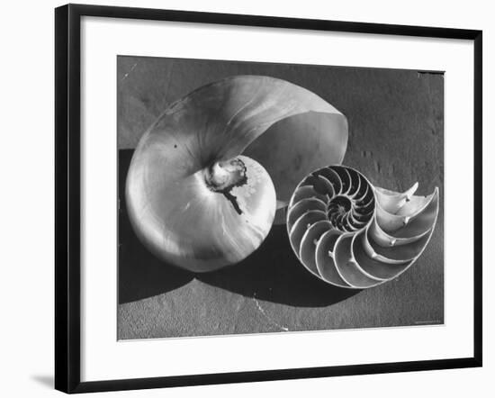 The Interior Design of the Shell-Fritz Goro-Framed Photographic Print