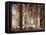 The Interior of a Renaissance Cathedral-Christian Stocklin-Framed Premier Image Canvas