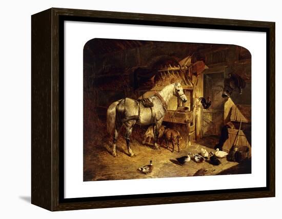 The Interior of a Stable with a Dapple Grey Horse, Ducks, Goats, and a Cockerel by a Manger-John Frederick Herring I-Framed Premier Image Canvas