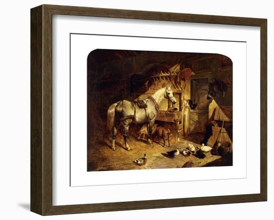 The Interior of a Stable with a Dapple Grey Horse, Ducks, Goats, and a Cockerel by a Manger-John Frederick Herring I-Framed Giclee Print