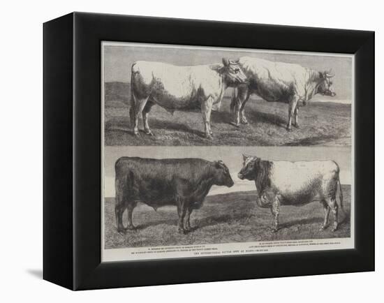 The International Cattle Show at Poissy-Harrison William Weir-Framed Premier Image Canvas